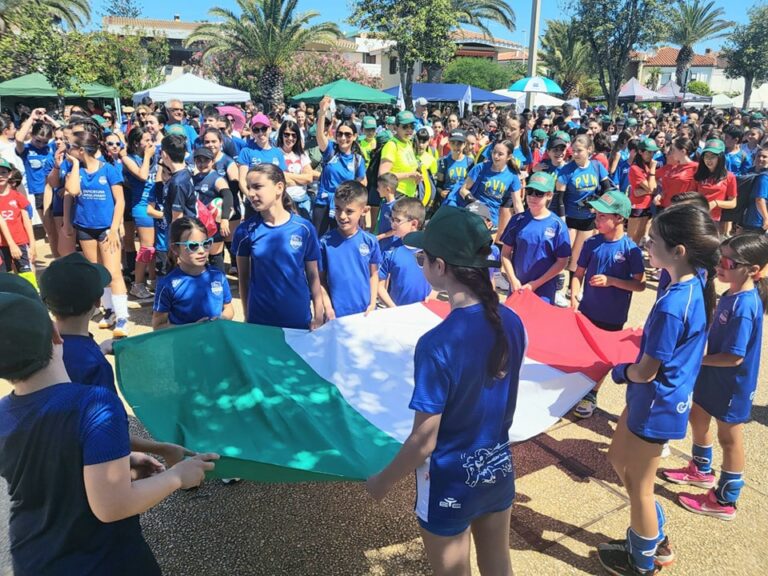 Volley S3 e Finali Regionali U13F